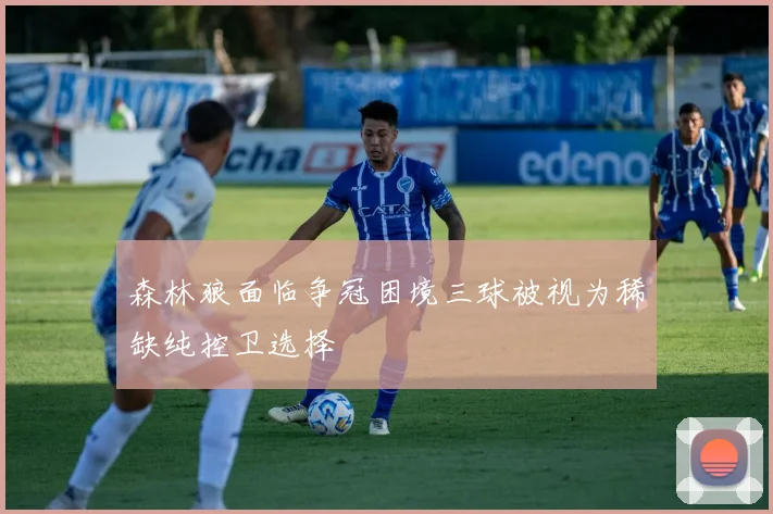 森林狼面临争冠困境三球被视为稀缺纯控卫选择
